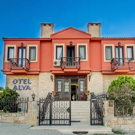 Alya By Kispet Hm 3*