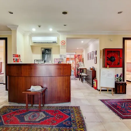 Alya By Kispet Hm 3*