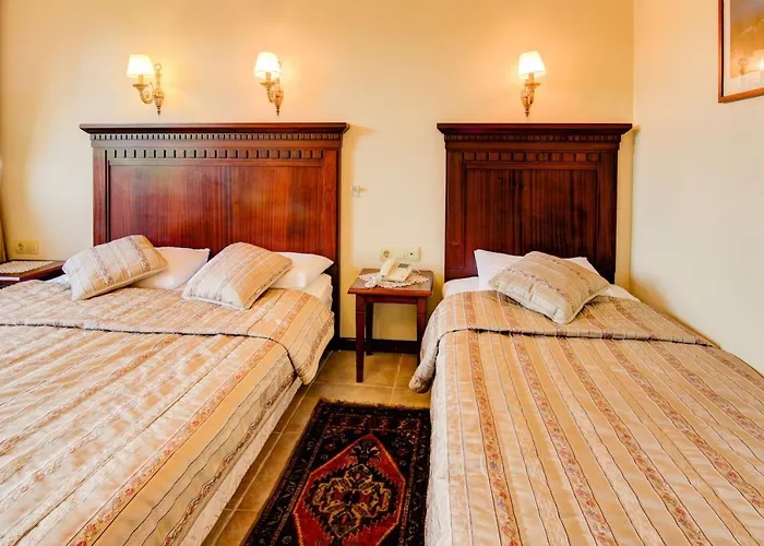 Alya By Kispet Hm Cunda