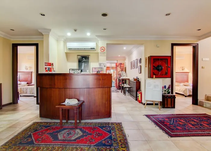 Alya By Kispet Hm 3*